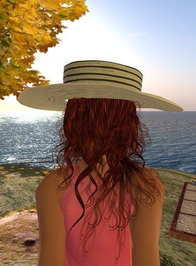 Summer  floppy hat