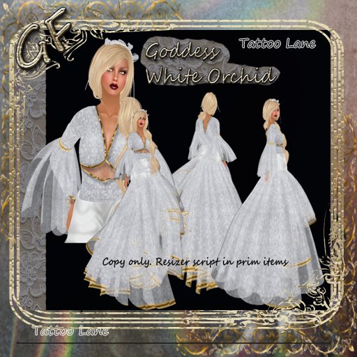 Goddess White Orchid