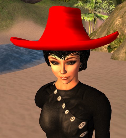 cowgirl hat red 