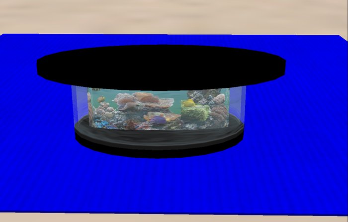 Oval Fish Tank Coffeetable