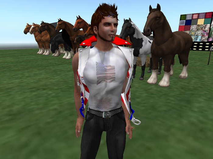 American Flag Shirt