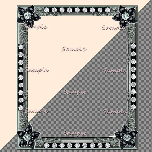 frame black jewel TGA