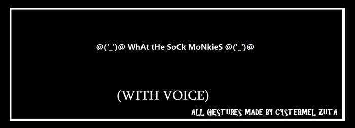 What The Sock Monkies - Made By Cy