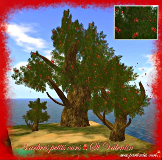 3 arbres saint valentin OURS