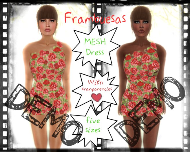 *Frambuesas* DEMO Dress Peek Roses MESH