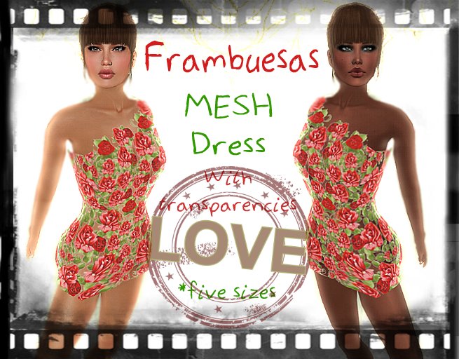 *Frambuesas* Dress Peek Roses MESH