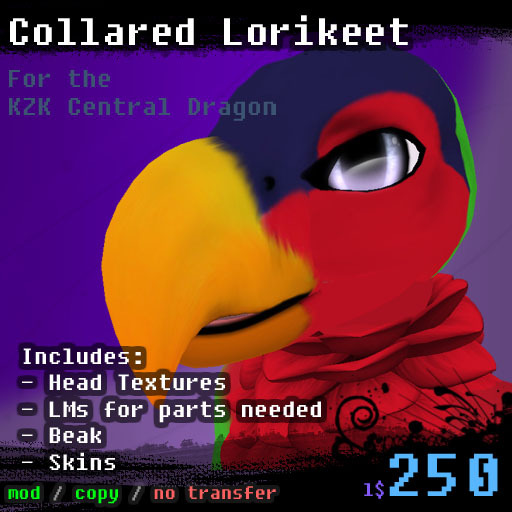 Collared Lorikeet - Central Dragon