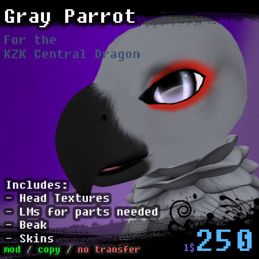 Gray Parrot ~ Central Dragon
