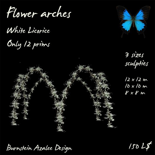 Flower arch - White Licorice