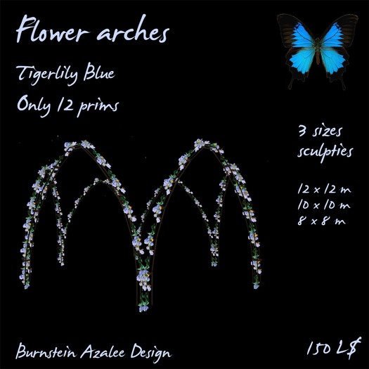 Flower arch  - Tiger lily Blue