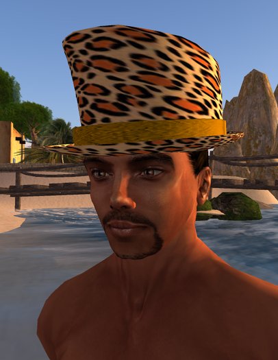 Top hat - ab type - leo 
