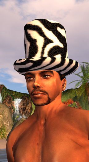 Top hat - b type - zebra