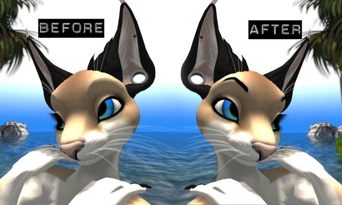 Tintable prim eyebrows