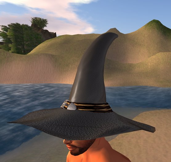 Witch & Wizard hat - black