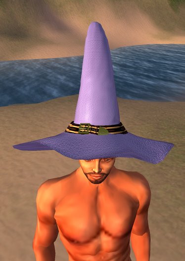 Witch & Wizard hat - violet