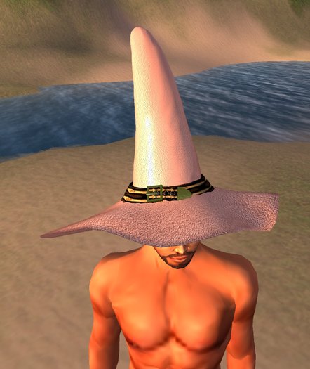 Witch & Wizard hat - pink