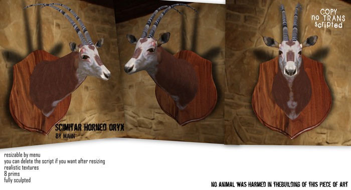 MAHN** Scimitar Horned Oryx