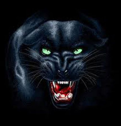 Panther15 Tip Jar