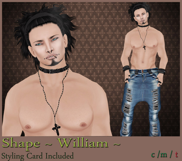  ~ SHAPE WILLIAM ~  