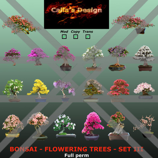 Bonsai - Flowering trees - Set III - Full perm