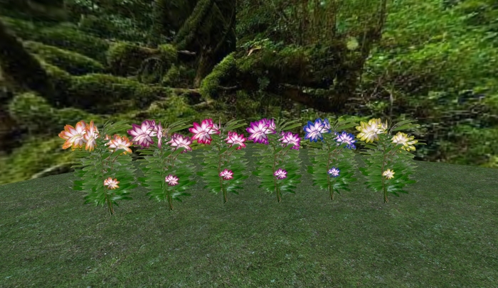 Fantasy  Lily Fat Pack