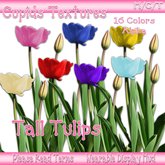 *CUPIDS* Textures 16 TALL TULIPS