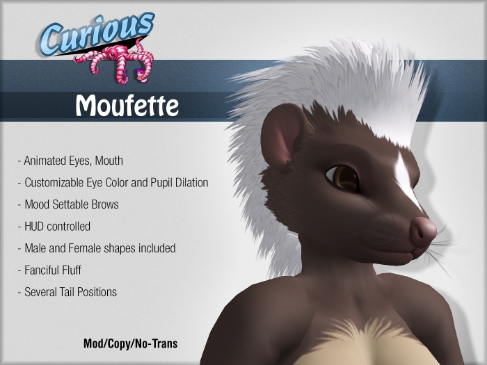 Curious Moufette - Hot Cocoa