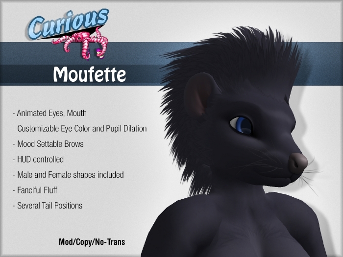 Curious Moufette - Black