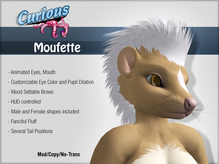 Curious Moufette - Caramel