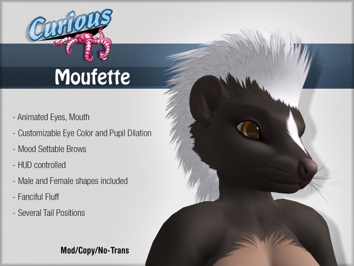 Curious Moufette - Brownie