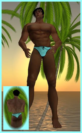 Kohnke Solid Briefs - Aqua
