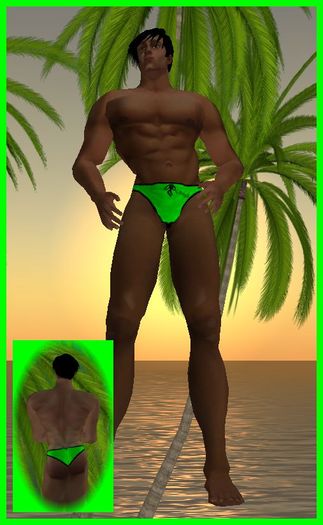 Kohnke Solid Briefs - Lime