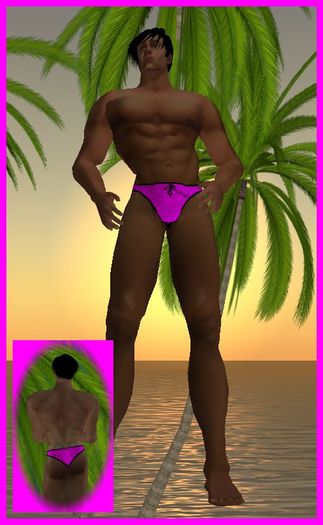 Kohnke Solid Briefs - Pink