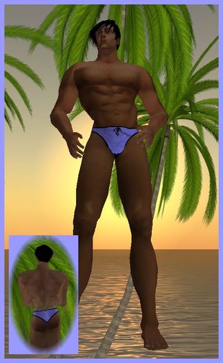 Kohnke Solid Briefs - Purple