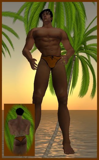Kohnke Solid Briefs - SaddleBrown