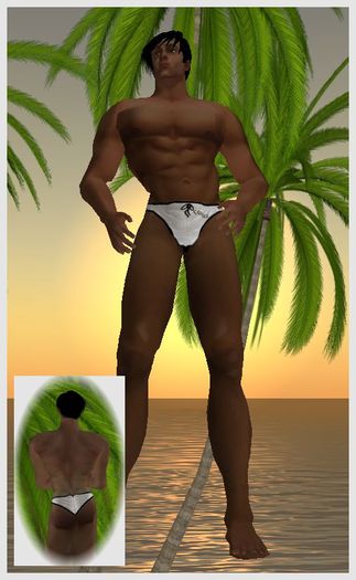 Kohnke Solid Briefs - White
