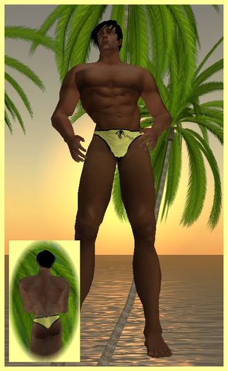 Kohnke Solid Briefs - Khaki