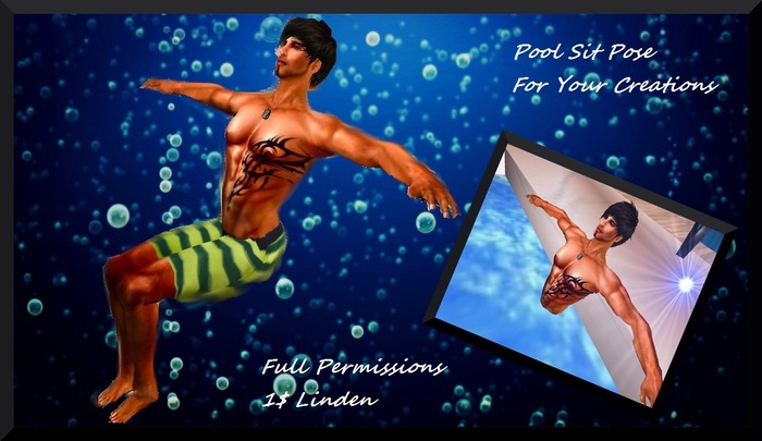 ++Poolsit Pose++ << For Your Creations >> ++Full Permissions++