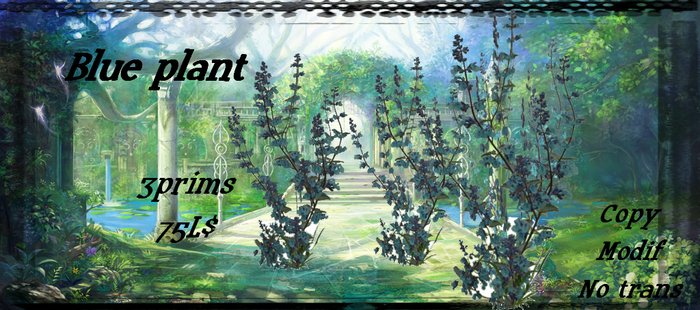 Blue plant by Studio SW ##PROMO##