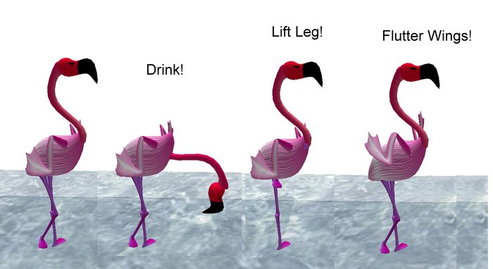 Flamingo MOVES by Rita Munro