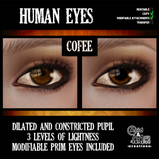 .:A&M:. Human Eyes - Cofee