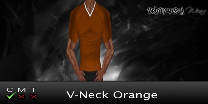 .:UAD:. Orange V-Neck