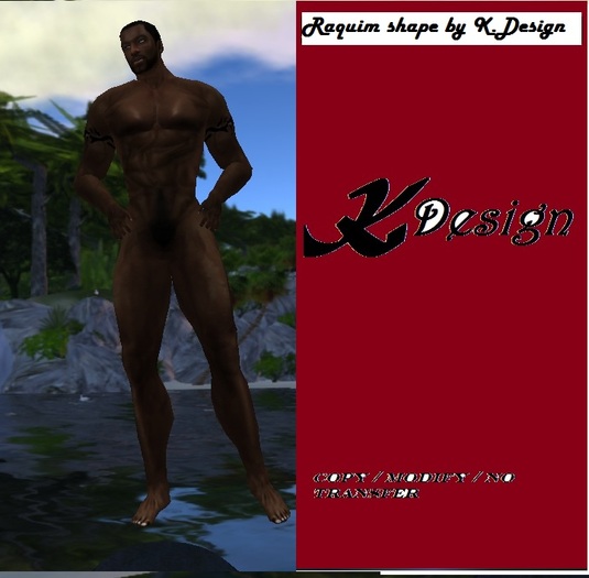 K.DESIGN SHAPE RAQUIM
