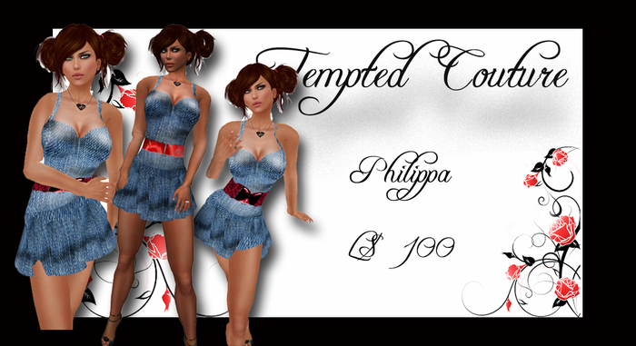 Philippa Denim Dress