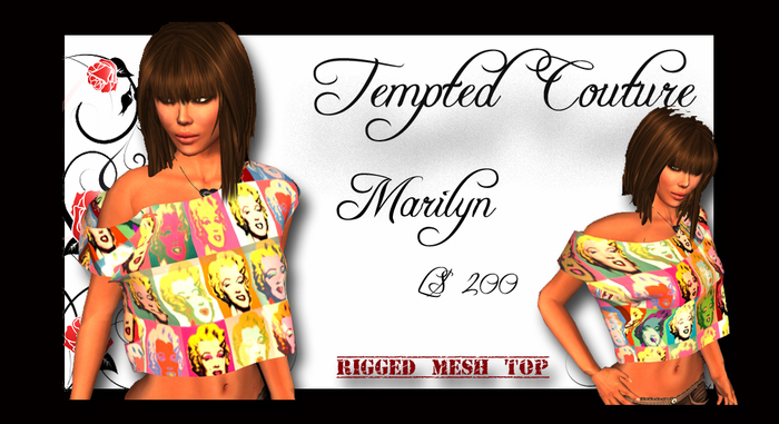 Marilyn Mesh top