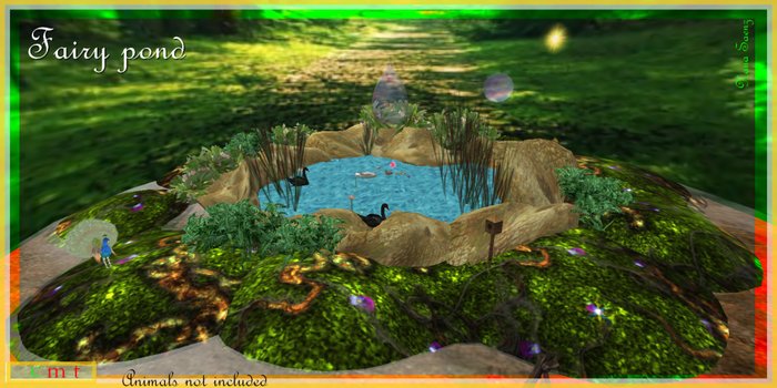 Pond BOXED