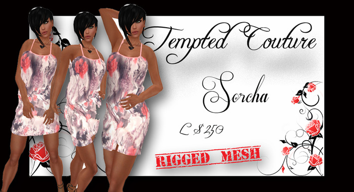 sorcha Mesh dress