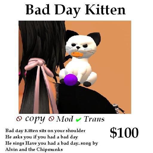 Bad Day Kitten