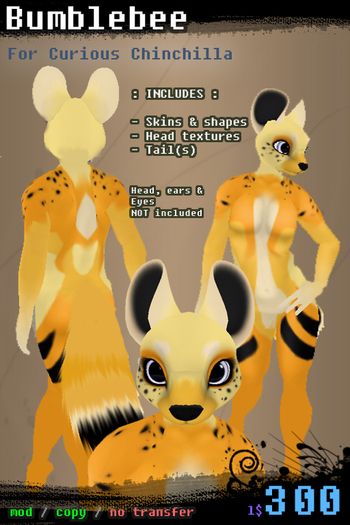 Chinchilla ~ Bumblebee