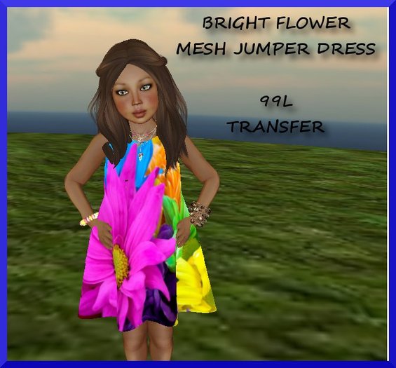 BRIGHT FLOWER MESH JUMPER DRESS